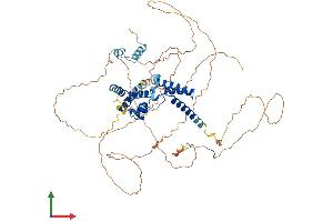 AlphaFold protein structure predicition of Mouse Recombinant Hnf1a Protein, UniprotID P22361 (HNF1A Protein (AA 1-628) (His tag))