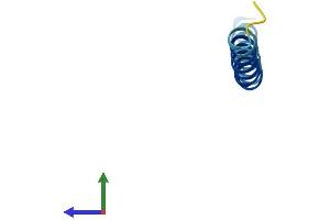 AlphaFold protein structure predicition of Mouse Recombinant Pxt1 Protein, UniprotID Q8K459 (PXT1 Protein (AA 1-51) (Fc Tag))