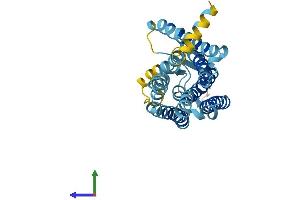 AlphaFold protein structure predicition of Human Recombinant OR5AK2 Protein, UniprotID Q8NH90 (OR5AK2 Protein (AA 1-309) (His tag))