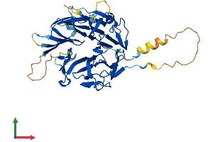 AlphaFold protein structure predicition of Mouse Recombinant Rccd1 Protein, UniprotID Q8BTU7 (RCCD1 Protein (AA 1-377) (His tag))