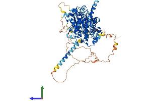 AlphaFold protein structure predicition of Mouse Recombinant Mtmr12 Protein, UniprotID Q80TA6 (MTMR12 Protein (AA 1-747) (His tag))