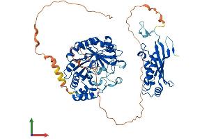 Protein Structure (PS) image for Molybdenum Cofactor Synthesis 1 (MOCS1) (AA 1-636) protein (His tag) (ABIN7557516)