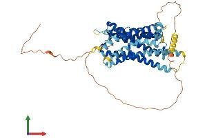 AlphaFold protein structure predicition of Human Recombinant SSTR3 Protein, UniprotID P32745