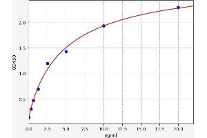 TACR1 ELISA Kit