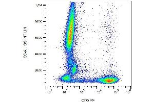 Flow cytometry analysis of human peripheral blood  stained with CRIS1 antibody PE. (CD5 antibody  (PE))