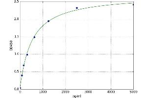 Janus Kinase 3 (JAK3) ELISA Kit
