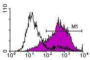 Rat Anti-Mouse CD25-R-PE. (CD25 antibody  (Biotin))