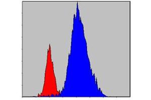 Flow cytometric analysis of HeLa cells using JAK3 monoclonal antibody, clone 5H2  (blue) and negative control (red) . (JAK3 antibody)