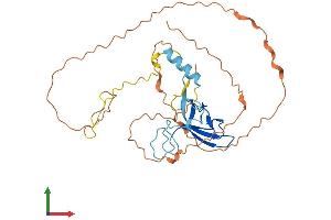 Protein Structure (PS) image for Zygote Arrest 1-Like (ZAR1L) (AA 1-321) protein (His tag) (ABIN7545239)
