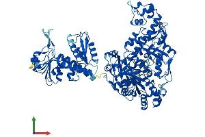 Protein Structure (PS) image for Methylenetetrahydrofolate Dehydrogenase (NADP+ Dependent) 1, Methenyltetrahydrofolate Cyclohydrolase, Formyltetrahydrofolate Synthetase (MTHFD1) (AA 1-935) protein (His tag) (ABIN7560216)