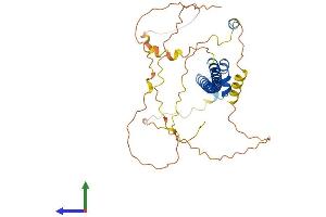 AlphaFold protein structure predicition of Mouse Recombinant Mafa Protein, UniprotID Q8CF90 (MAFA Protein (AA 1-359) (His tag))