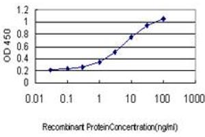 Detection limit for recombinant GST tagged TEK is approximately 0. (TEK antibody  (AA 701-800))