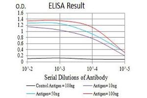 Black line: Control Antigen (100 ng),Purple line: Antigen (10 ng), Blue line: Antigen (50 ng), Red line:Antigen (100 ng) (CHRNA5 antibody  (AA 23-254))