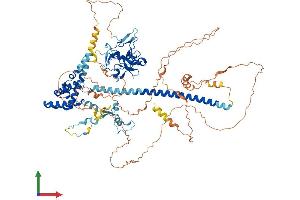 AlphaFold protein structure predicition of Human Recombinant JADE1 Protein, UniprotID Q6IE81 (PHF17 Protein (AA 1-842) (His tag))