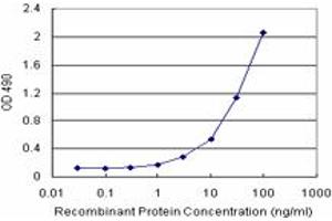 Sandwich ELISA detection sensitivity ranging from 1 ng/mL to 100 ng/mL. (CSTB (Human) Matched Antibody Pair)