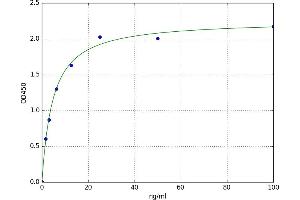 A typical standard curve