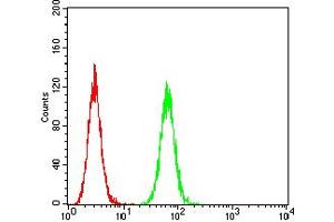 Flow cytometric analysis of Hela cells using HTR3B mouse mAb (green) and negative control (red). (Serotonin Receptor 3B antibody  (AA 23-150))