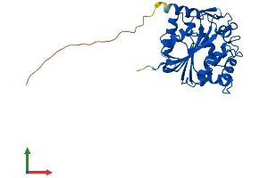 AlphaFold protein structure predicition of Mouse Recombinant Pnmt Protein, UniprotID P40935 (PNMT Protein (AA 1-295) (His tag))