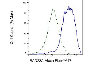 Validation of RAD23A knockdown using flow cytometry. (Recombinant RAD23A antibody)