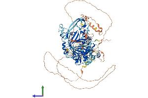 Protein Structure (PS) image for Lysine (K)-Specific Demethylase 4C (KDM4C) (AA 1-1054) protein (His tag) (ABIN7564729)