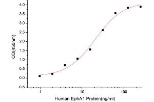 Ephrin A1 (EFNA1) (AA 19-182) (Active) protein (His tag)