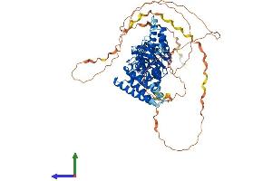 AlphaFold protein structure predicition of Human Recombinant RANBP9 Protein, UniprotID Q96S59