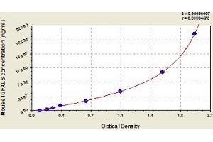 IGFALS ELISA Kit