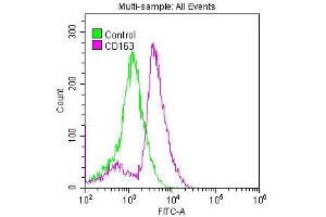 Overlay histogram showing Raw264. (Recombinant CD163 antibody)