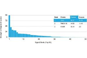 Analysis of Protein Array containing more than 19,000 full-length human proteins using Kappa Light Chain Mouse Recombinant Monoclonal Antibody (rL1C1). (Recombinant IGKC antibody)