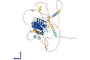 AlphaFold protein structure predicition of Mouse Recombinant Ctif Protein, UniprotID Q6PEE2