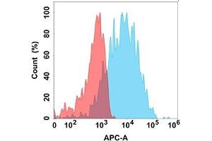 Flow cytometry analysis with Anti-SELP (DM150) on Expi293 cells transfected with human SELP (Blue histogram) or Expi293 transfected with irrelevant protein (Red histogram). (P-Selectin antibody  (AA 42-771))