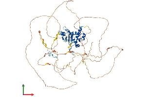 AlphaFold protein structure predicition of Mouse Recombinant Larp4 Protein, UniprotID Q8BWW4 (LARP4 Protein (AA 1-719) (His tag))