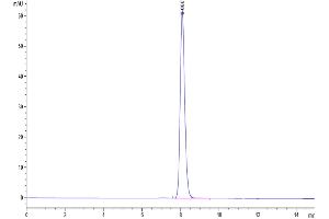 The purity of Cynomolgus Nectin-4 is greater than 95 % as determined by SEC-HPLC. (PVRL4 Protein (AA 32-351) (His tag))