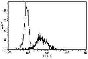 A typical staining pattern with the B-F10 monoclonal antibody of monocytes (CD13 antibody)