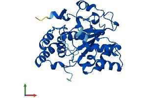 AlphaFold protein structure predicition of Mouse Recombinant Sult3a1 Protein, UniprotID O35403 (Sulfotransferase Family 3A, Member 1 (SULT3A1) (AA 1-293) protein (His tag))