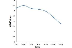 Antigen: 0. (CAPZA1 antibody  (AA 201-286))