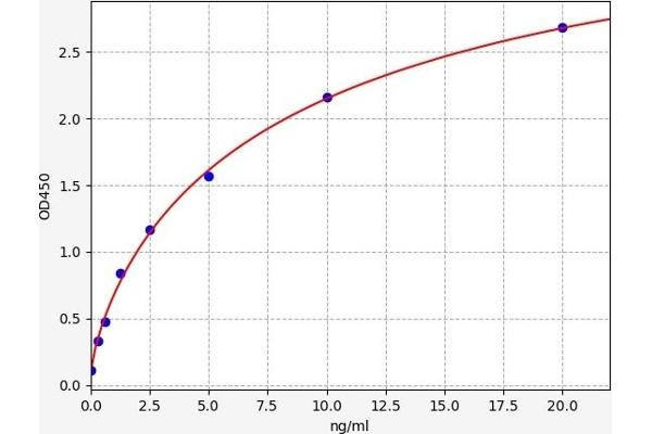 SPTLC1 ELISA Kit