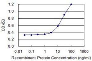 Detection limit for recombinant GST tagged TRIM23 is 1 ng/ml as a capture antibody. (TRIM23 antibody  (AA 1-574))