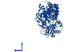 AlphaFold protein structure predicition of Human Recombinant MAOA Protein, UniprotID P21397 (Monoamine Oxidase A Protein (MAOA) (AA 1-527) (His tag))