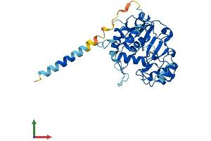 AlphaFold protein structure predicition of Human Recombinant ST3GAL4 Protein, UniprotID Q11206