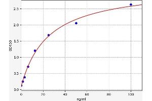 Typical standard curve (Complement Factor B ELISA Kit)