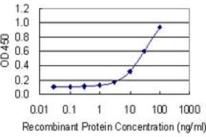 Detection limit for recombinant GST tagged MSN is 1 ng/ml as a capture antibody. (Moesin antibody  (AA 422-531))