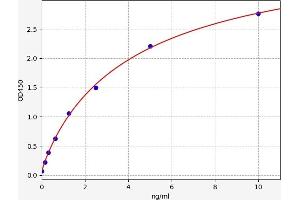 Typical standard curve (BMP5 ELISA Kit)