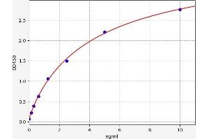 Typical standard curve (BMP5 ELISA Kit)