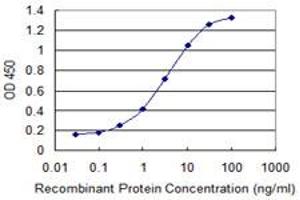 Detection limit for recombinant GST tagged MEFV is 0. (MEFV antibody  (AA 1-110))