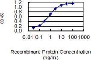 Detection limit for recombinant GST tagged PNOC is 0. (PNOC antibody  (AA 96-168))