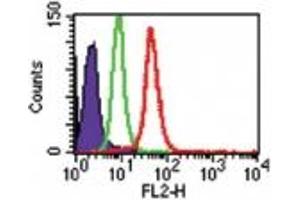 Image no. 1 for anti-Toll-Like Receptor 8 (TLR8) (AA 750-850) antibody (PE) (ABIN959905) (TLR8 antibody  (AA 750-850) (PE))