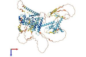 CTF18 Protein (AA 1-975) (His tag)