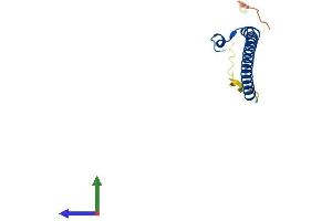 AlphaFold protein structure predicition of Human Recombinant MAFIP Protein, UniprotID Q8WZ33 (MAFIP Protein (AA 1-124) (His tag))