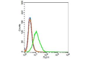 Flow Cytometry (FACS) image for anti-Very Low Density Lipoprotein Receptor (VLDLR) (AA 551-650) antibody (ABIN705551)
